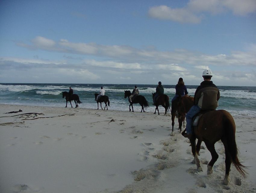 *Afro-Mex Village Horse Ride, Turtle Release Crocodile Farm - Experience Highlights