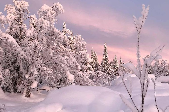 Afternoon Snowmobile Tour - Meeting and Logistics