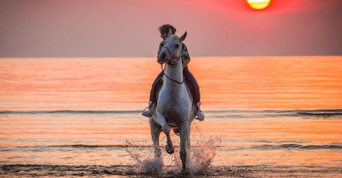 Agadir: Beach Sunset Horse Riding Tour With Transfer - Experience Highlights