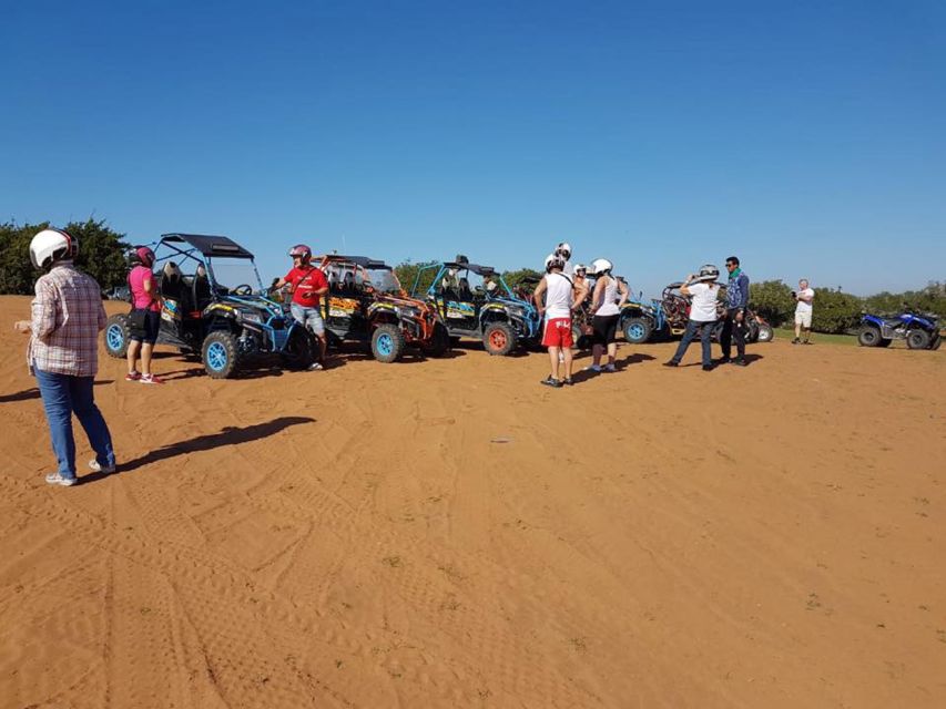 Agadir: Buggy Safari Adventure - Experience Highlights