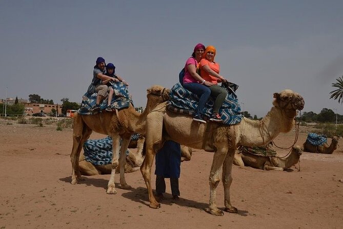 Agadir Camel Ride Experience - Reviews