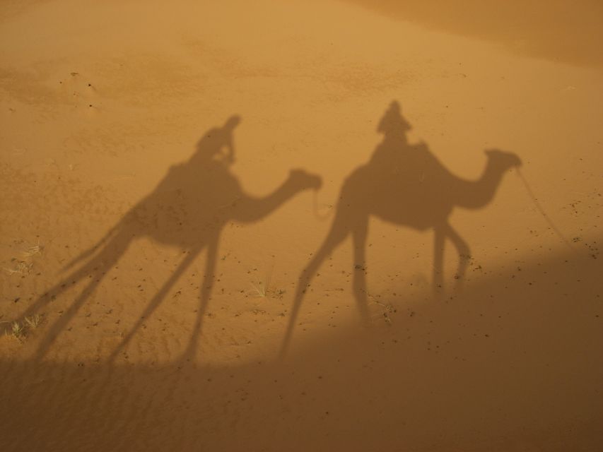 Agadir: Camel Ride Tour With Tea and Dinner Option - Experience Highlights