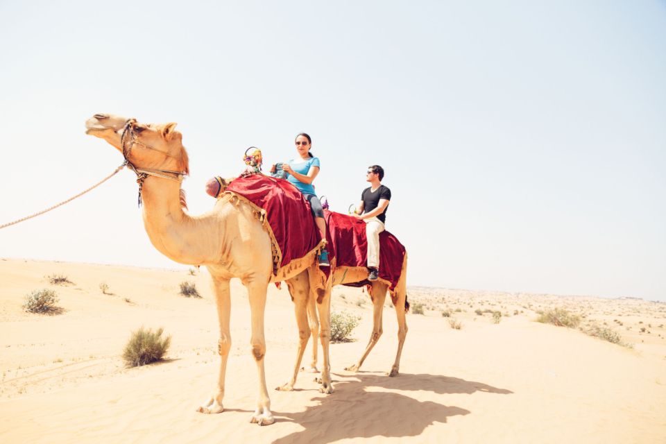 Agadir: Camel Ride With Tea - Experience Highlights