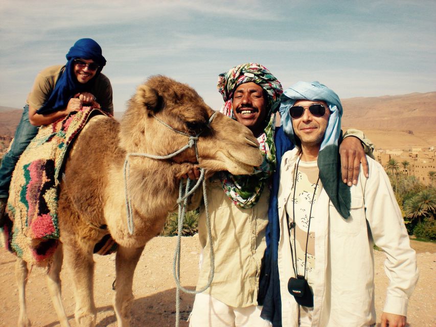 Agadir: Camel Riding Adventure With Authentic Moroccan Lunch - Experience Highlights