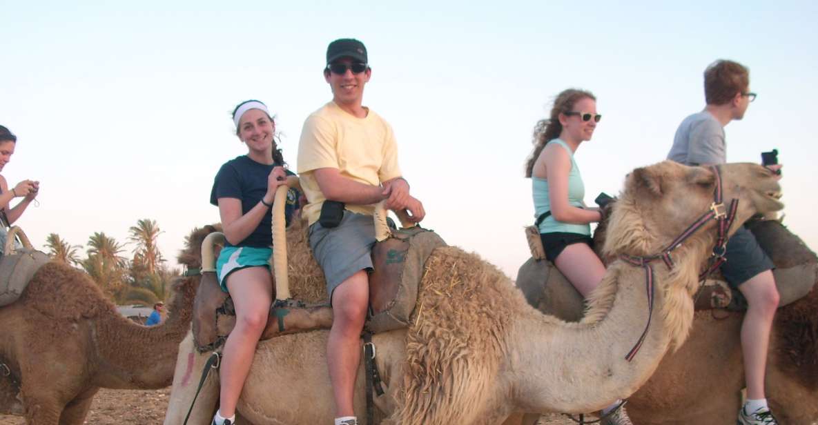 Agadir: Flamingo River Camel Ride W/Optional BBQ - Experience Highlights