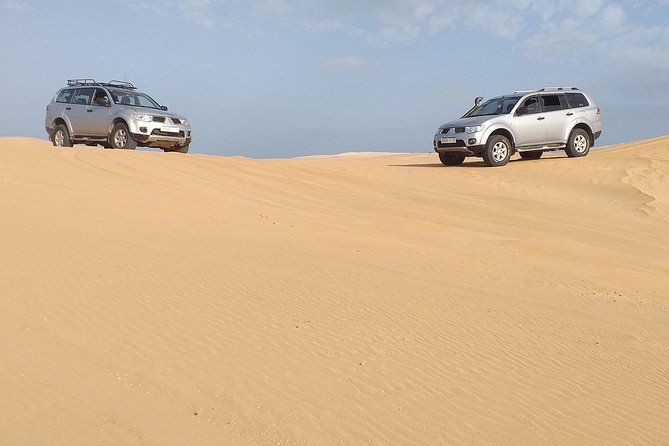 Agadir Half Day Private Tour to Sahara and Tifnit - Itinerary Highlights