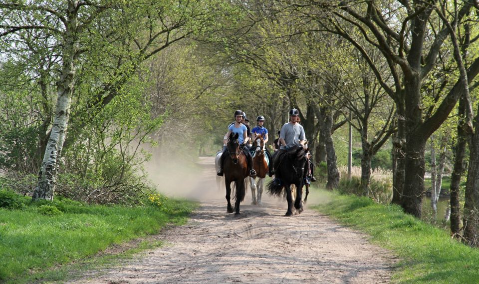 Agadir: Horse Ride Along the Souss River With Birdwatching - Experience Highlights