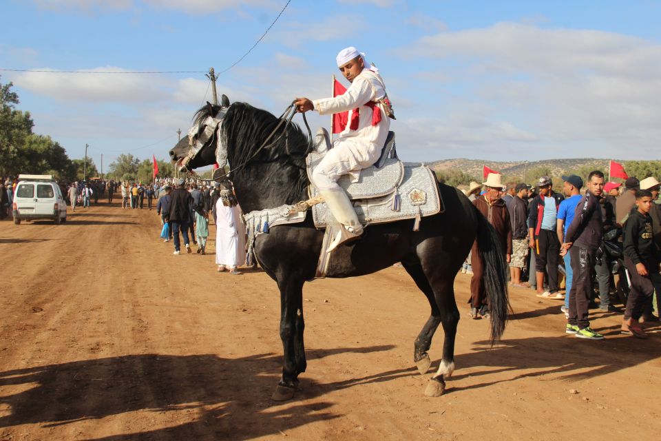 Agadir: Horse Ride Experience With Flamingos Watching - Wildlife Encounters Along Souss Massa River