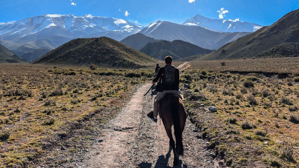 Agadir Horse Riding Visite the Flamingo River With Tea Drink - Experience Highlights