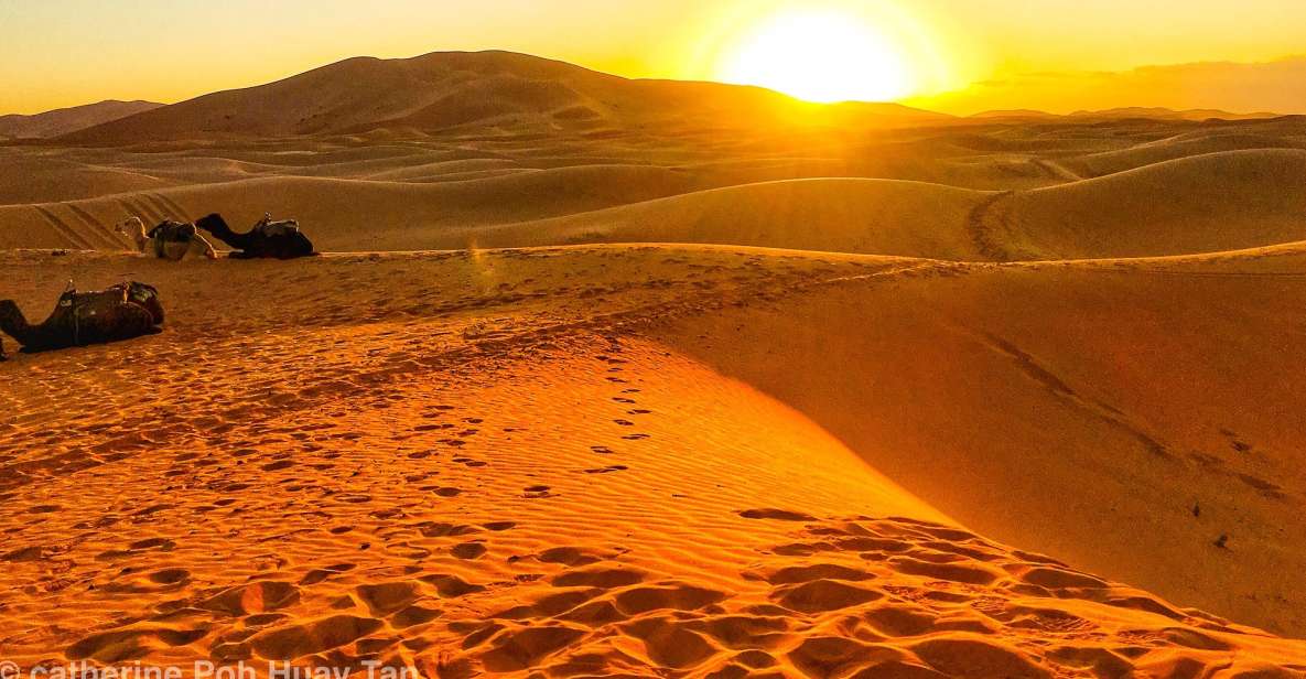 Agadir or Taghazout: 2-Day Zagora Desert Guided Tour - Experience Highlights