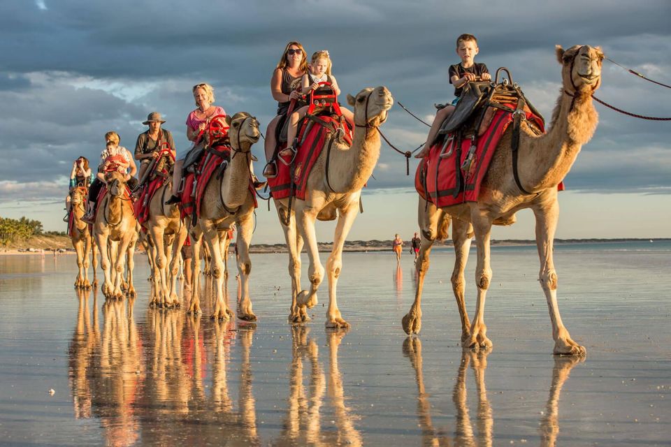 Agadir or Taghazout: Camel Ride Experience in River or Beach - Experience Highlights in Agadir or Taghazout