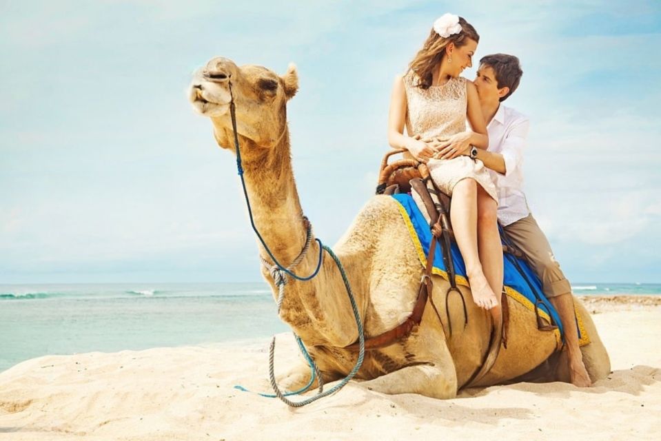 Agadir or Taghazout: Camel Ride Experience - Camel Ride Experience Highlights