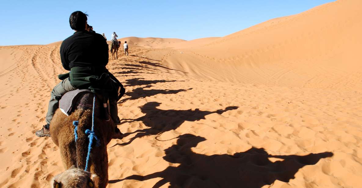 Agadir or Taghazout : Camel Ride in Desert Sand Dunes - Booking Information and Options