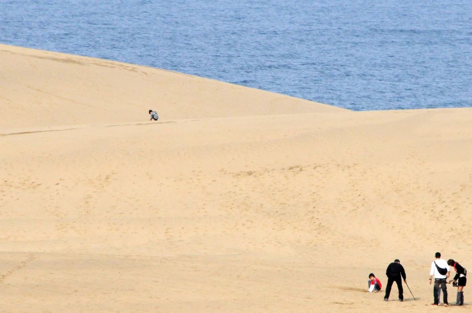 Agadir or Taghazout : Desert Sahara Sand Dunes With Transfer - Experience