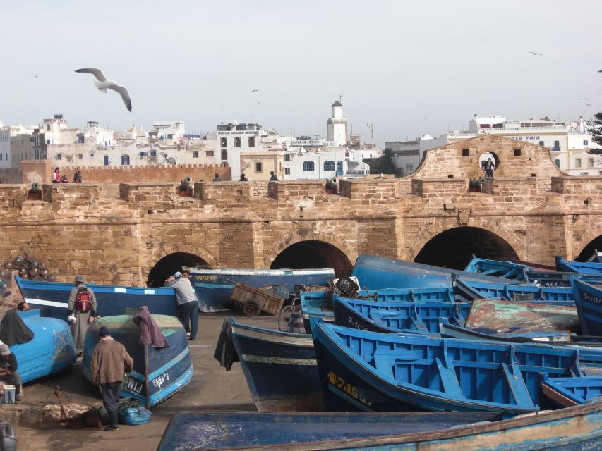 Agadir or Taghazout Essaouira Old City Day Trip With Guide - Experience Highlights