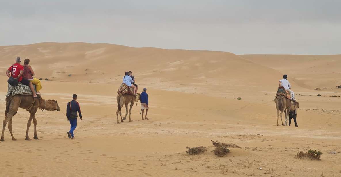 Agadir: Sahara Desert Camel Ride & Sandboarding Halfday Trip - Activity Duration Information