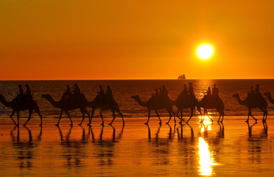 Agadir: Sunset Camel Ride, Flamingo River Tour & Drink - Experience Highlights