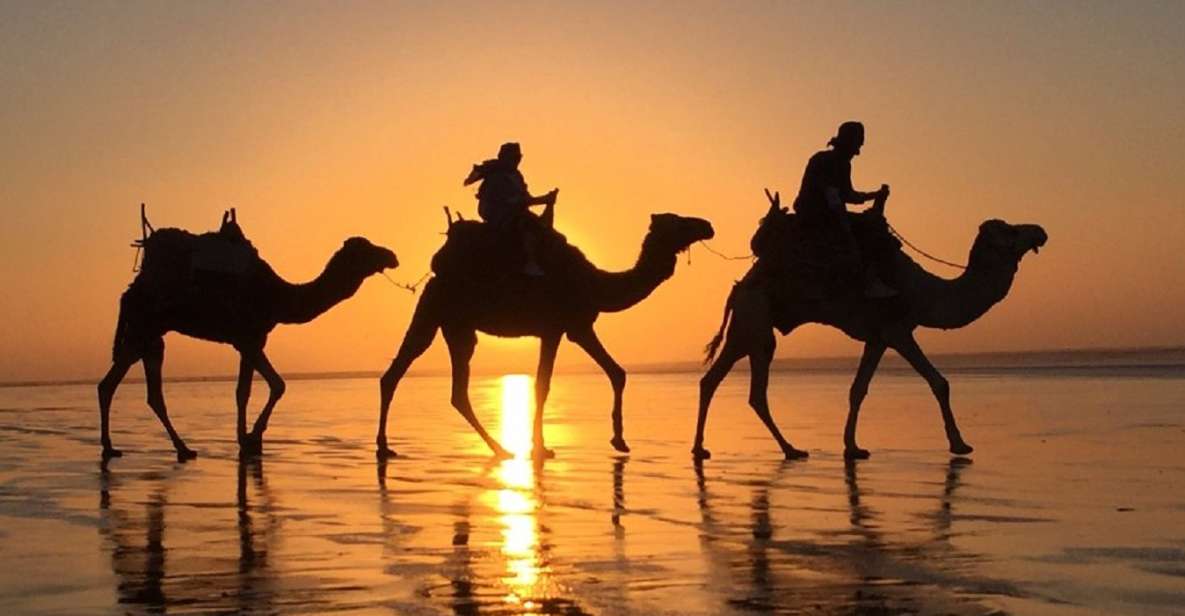 Agadir: Sunset Camel Riding Experience And Relaxing Massage - Experience Highlights