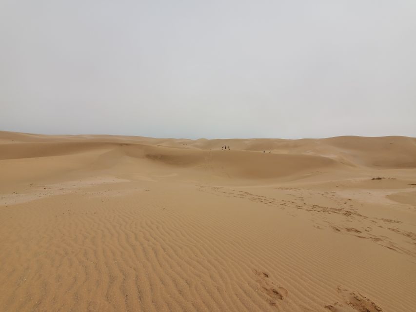 Agadir Sunset Sahara Desert Dunes Half Day Visit - Activity Highlights