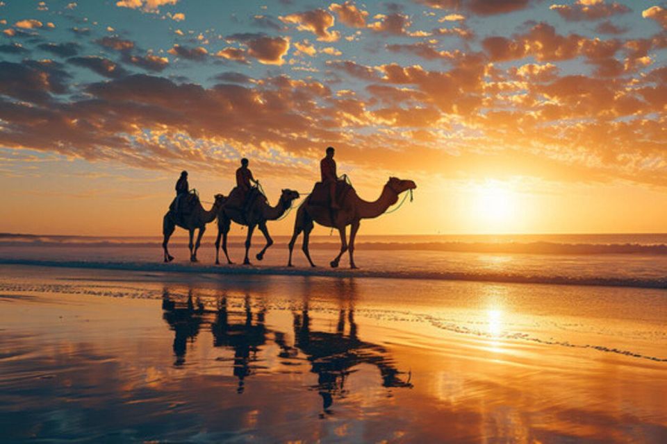 Agadir/Taghazout: Camel Ride on the Beach - Experience Details