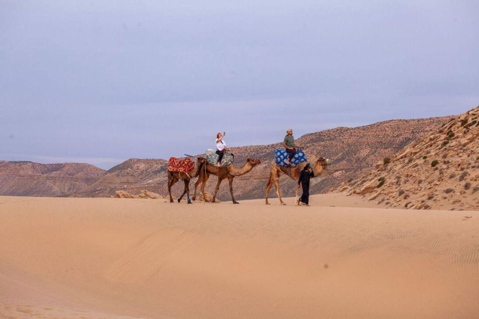 Agadir/Taghazout : Quad Bike & Camel Ride On The Beach - Customer Reviews