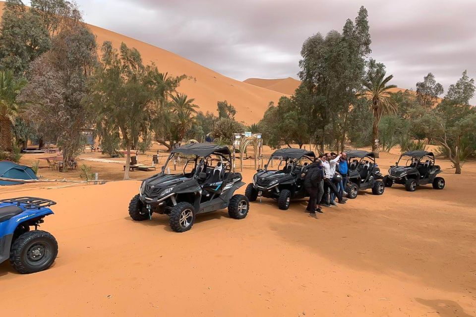 Agadir:Half-Day Desert Dunes Buggy Safari - Experience Highlights