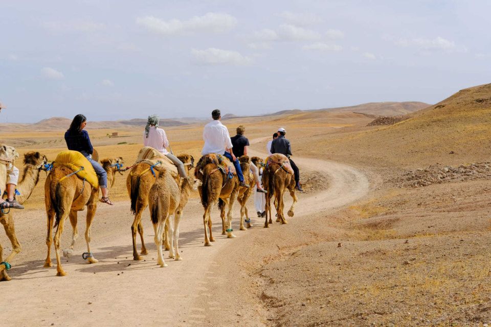 Agafay and Atlas: Quad and Camel Experience - Activity Highlights