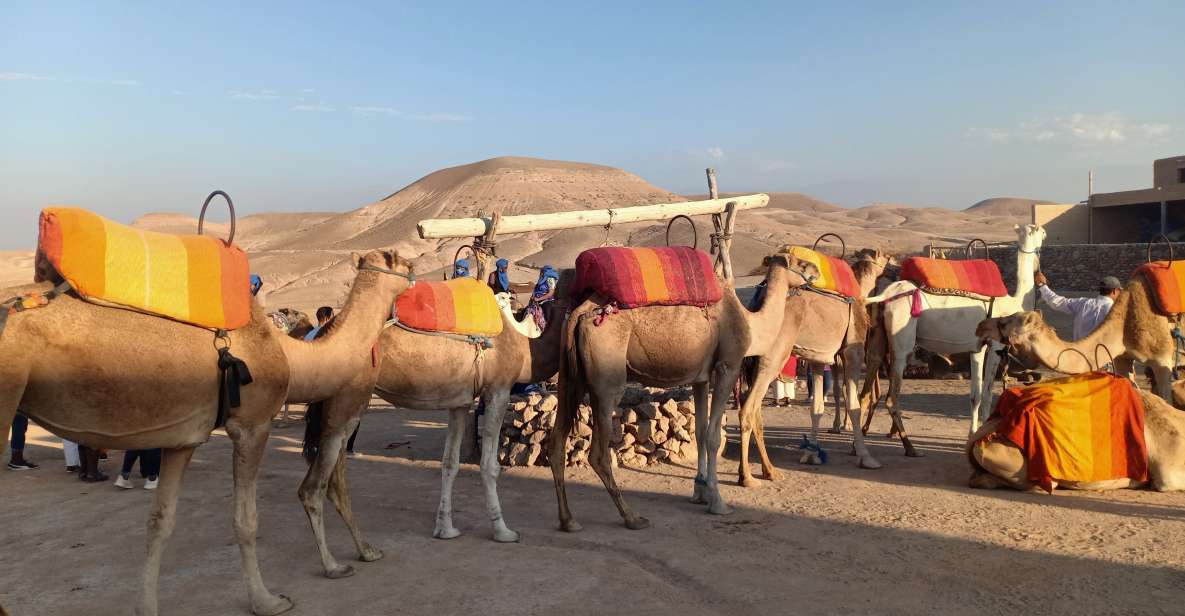 Agafay Desert Camel Ride With Lunch - Experience Highlights