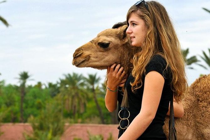 Agafay Desert Day Trip & Atlas Mountains With Camel Ride - Pricing Details