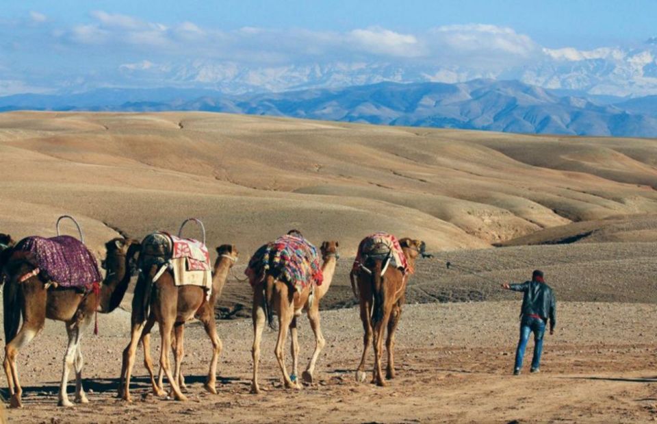 Agafay Desert: Quad Bike & Camel Ride and Dinner Show - Experience Highlights