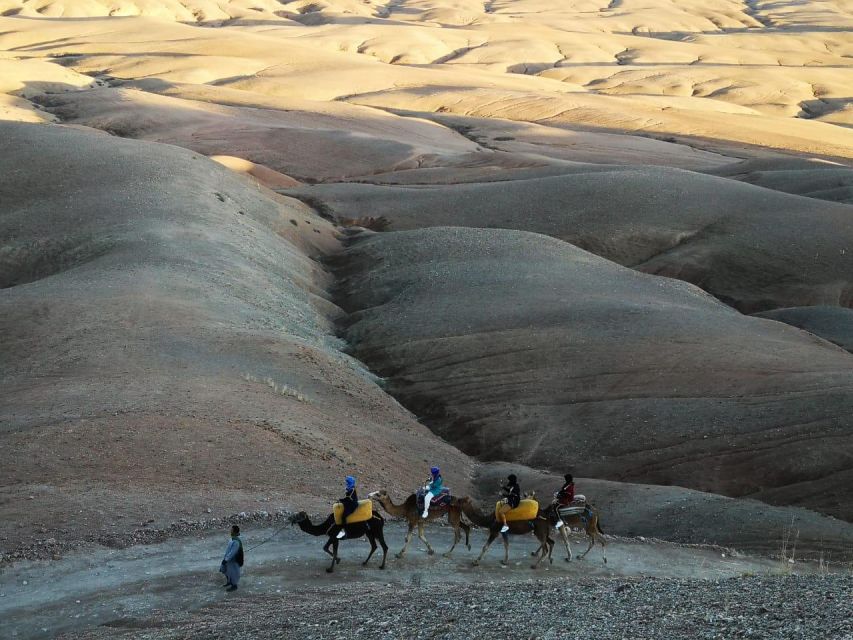Agafay Desert Sunset Camel Ride - Experience Highlights