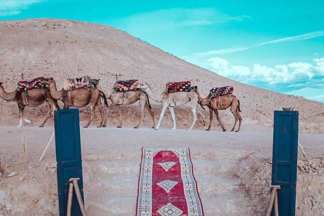 Agafay Desert Sunset Camel Ride With Dinner and Show From Marrakech - Logistics