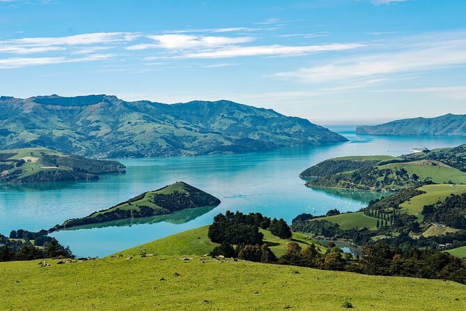 Akaroa Private Day Tour From Christchurch (Carbon Neutral) - Sustainable Transportation Options