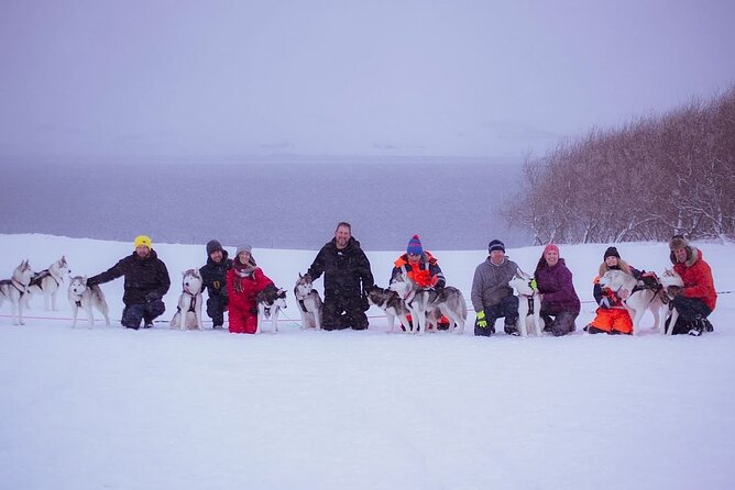 Akureyri Dog Sledding Private Experience - Inclusions