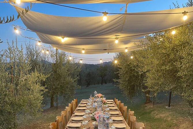 Al Fresco Lunch and Wine Tasting Under the Olive Trees  - Montepulciano - Exquisite Al Fresco Dining Experience