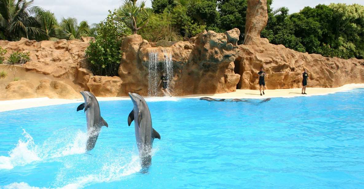Alanya Dolphin Show Tour - Sealanya Dolphinpark - Experience Highlights