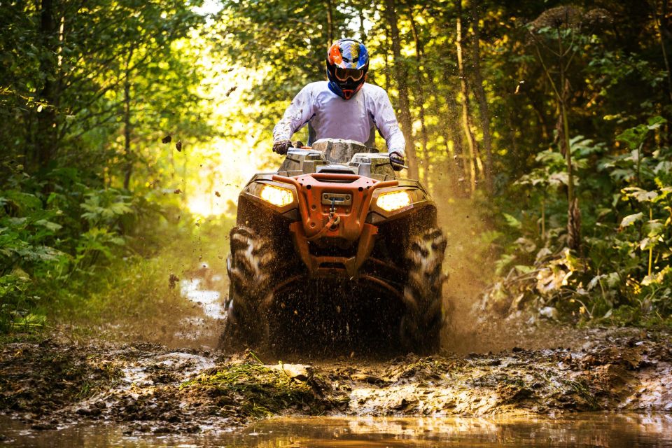 Alanya: Forest Quad-Bike Excursion With Hotel Pickup - Experience Highlights