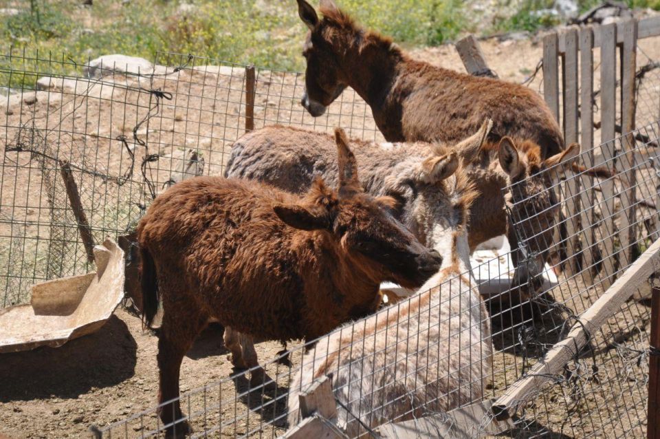 Alanya: Full Day Jeep Safari Adventure With Lunch - Customer Reviews