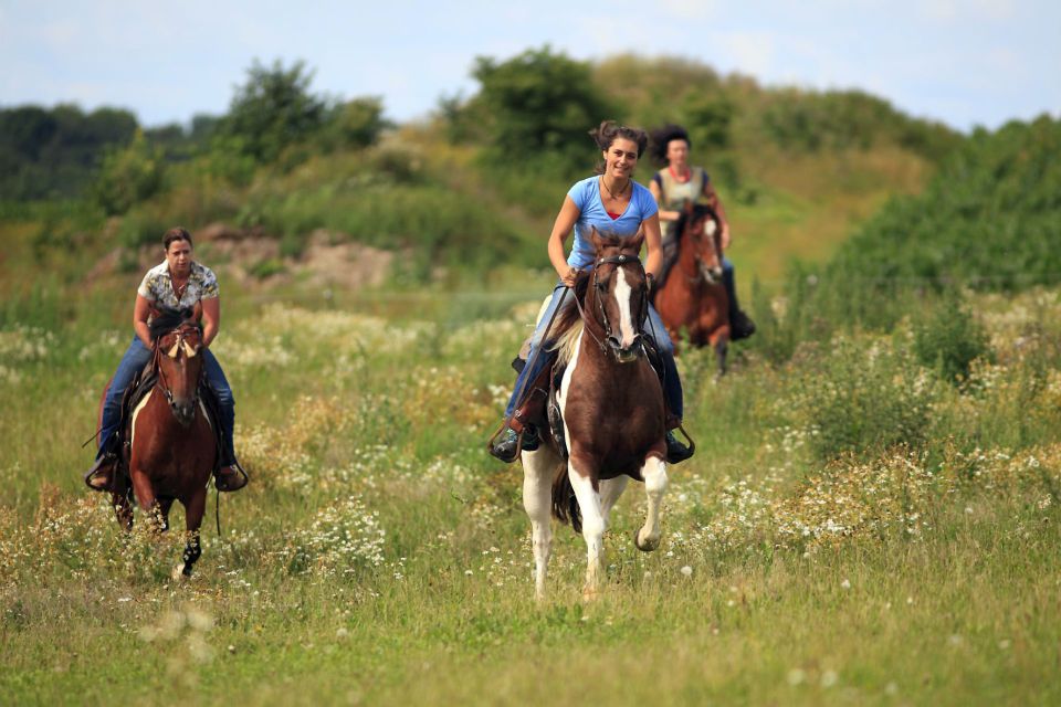 Alanya: Horse Riding Adventure - Experience Highlights