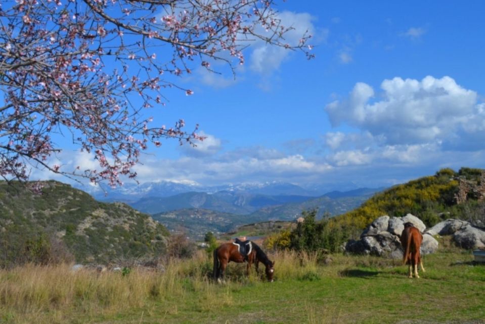 Alanya Horse Riding : Scenic Trails & Coastal Views - Scenic Trail Routes Offered