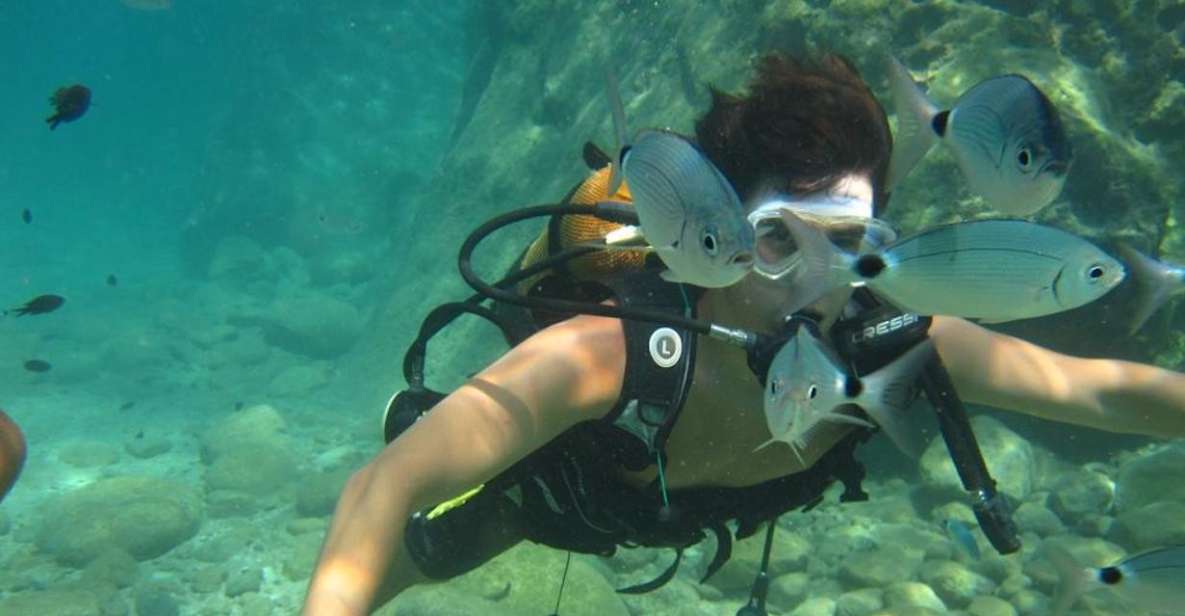 Alanya: Scuba Diving Experience With Lunch - Diving Experience