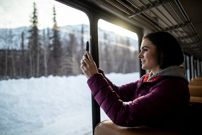 Alaska Railroad Aurora Winter Fairbanks to Anchorage One Way - Comfortable Seating and Amenities