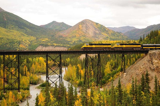 Alaska Railroad Denali to Anchorage One Way - Meeting Point and Logistics