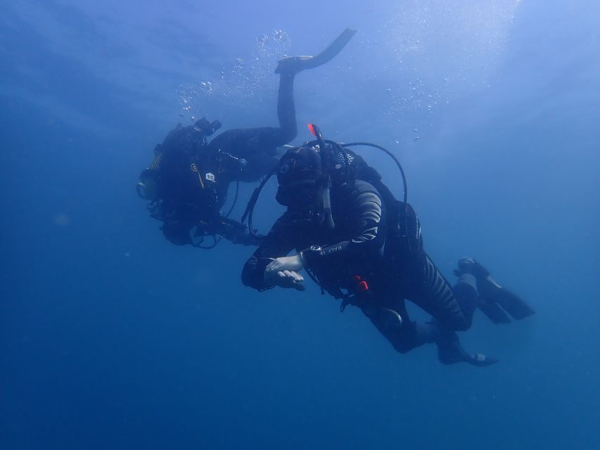 Albufeira: 2 DIVES TRIP (ONLY CERTIFIED DIVERS) - Dive Sites