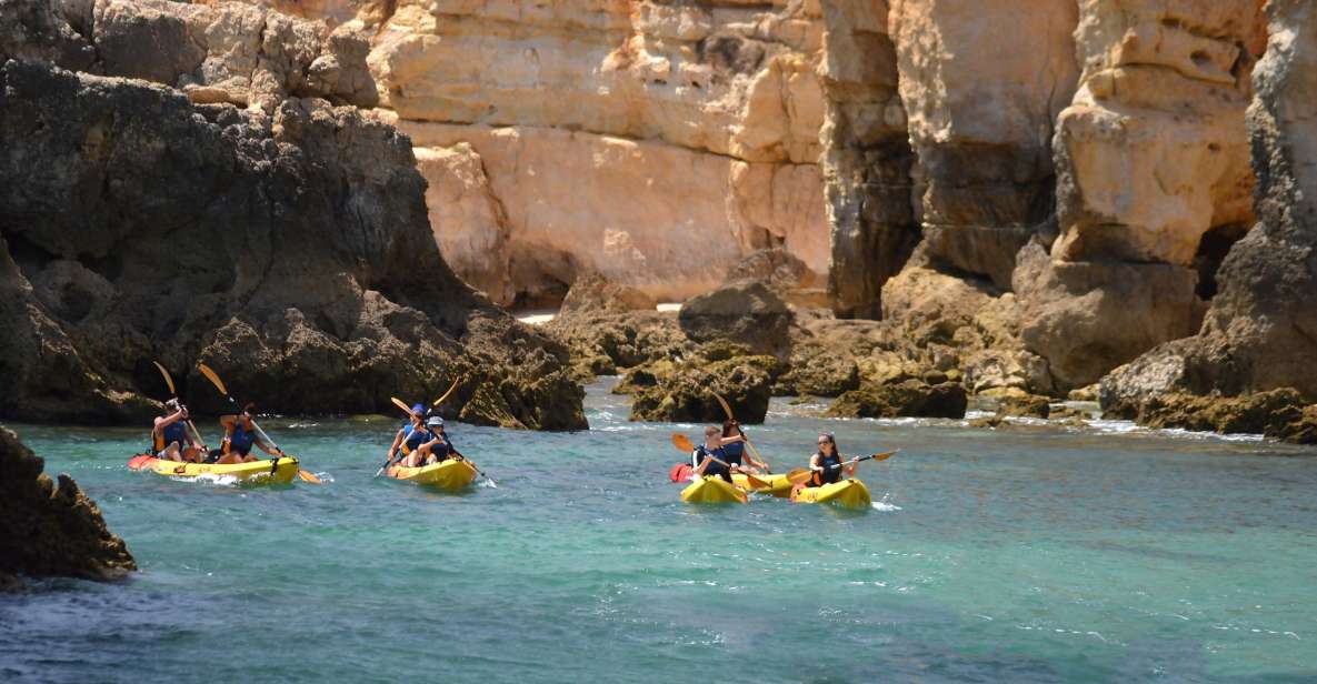 Albufeira: Algarve Kayak and Coastline Tour - Experience Highlights