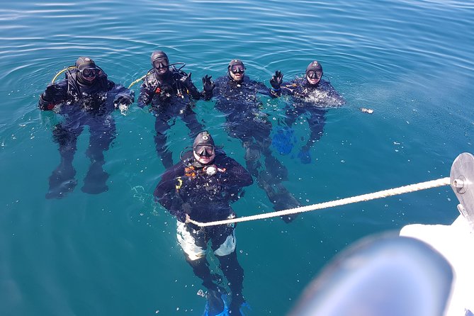 Albufeira Two-Dive Trip for Certified Divers - Dive Trip Schedule