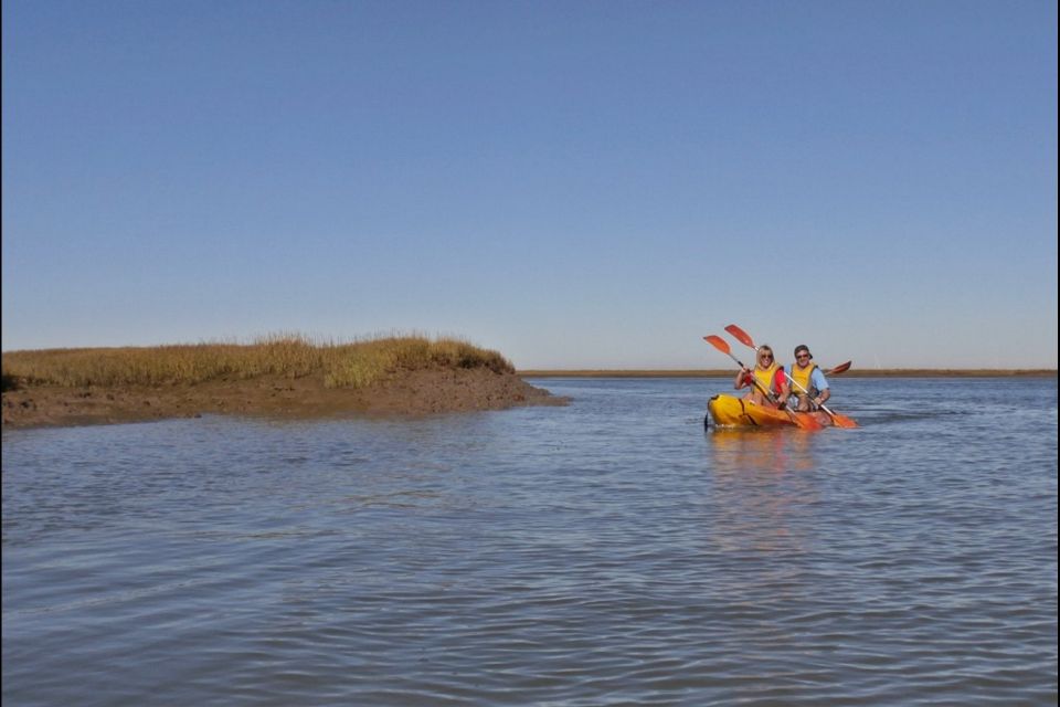 Algarve: 2-Hour Ria Formosa Kayak Tour From Faro - Preparation Tips