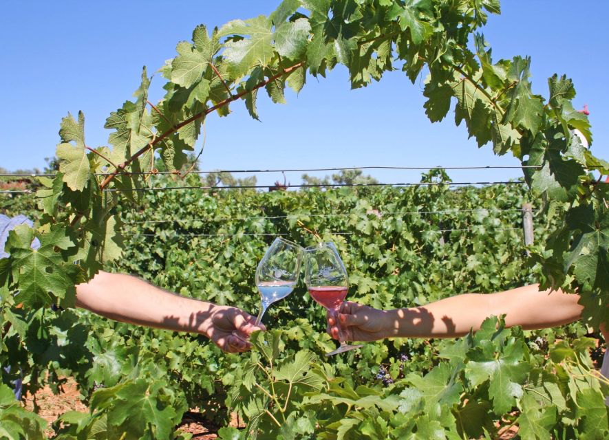 Algarve: 3 Types of Wine Tastings With Vineyard Views - Guided Tasting With Vineyard Views
