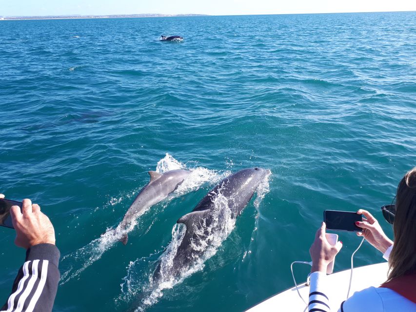 Algarve: Boat Trip to the Caves of Benagil - Experience Highlights