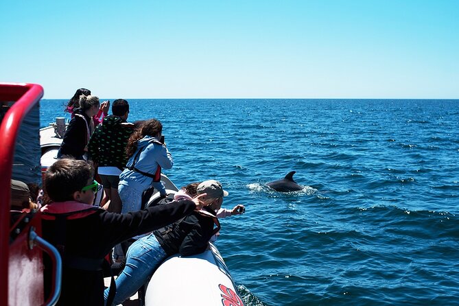 Algarve Dolphin Cruise  - Portimao - Policies and Refunds